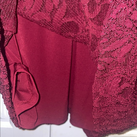 Lauren Ralph Lauren Deep Red Lace Dress - Picture 8 of 10